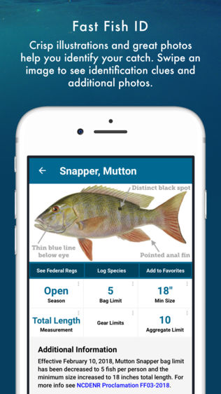 Fish Rules