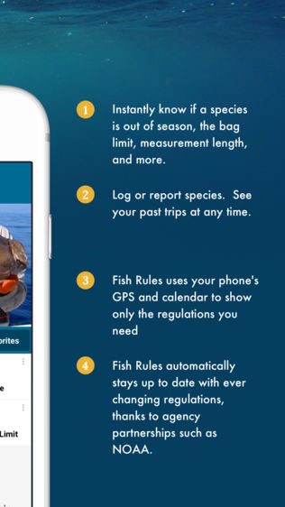 Fish Rules