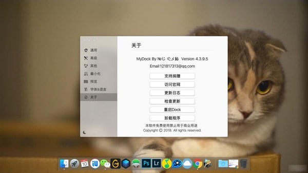 MyDock(dock)
