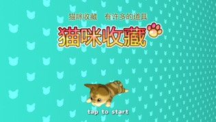 猫咪收藏
