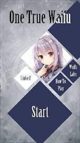 һOne True Waifu