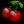 CherryTree(ֲʼ)