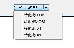 ePUBee eBook Converter(ת)