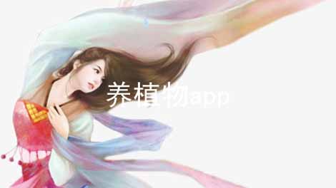 ֲapp