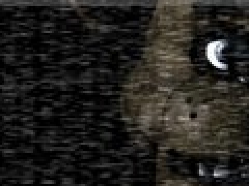 ܵҹ Ӣİ