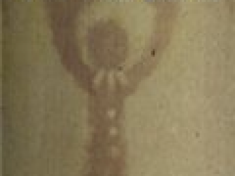  Ӣİ