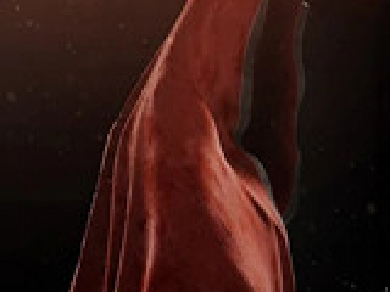 INFERNIUM İ