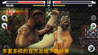 真实 拳击