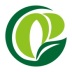 λ