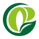 λ