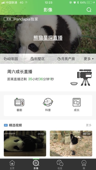pandapiaͼ2