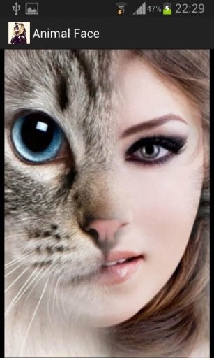 Animal Face ͼ2