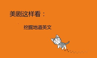 йվAPPϼ