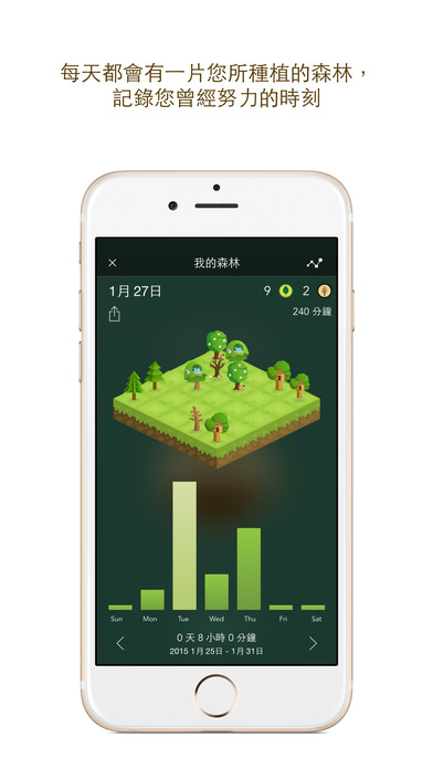 forest
