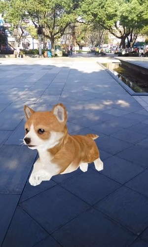 ar