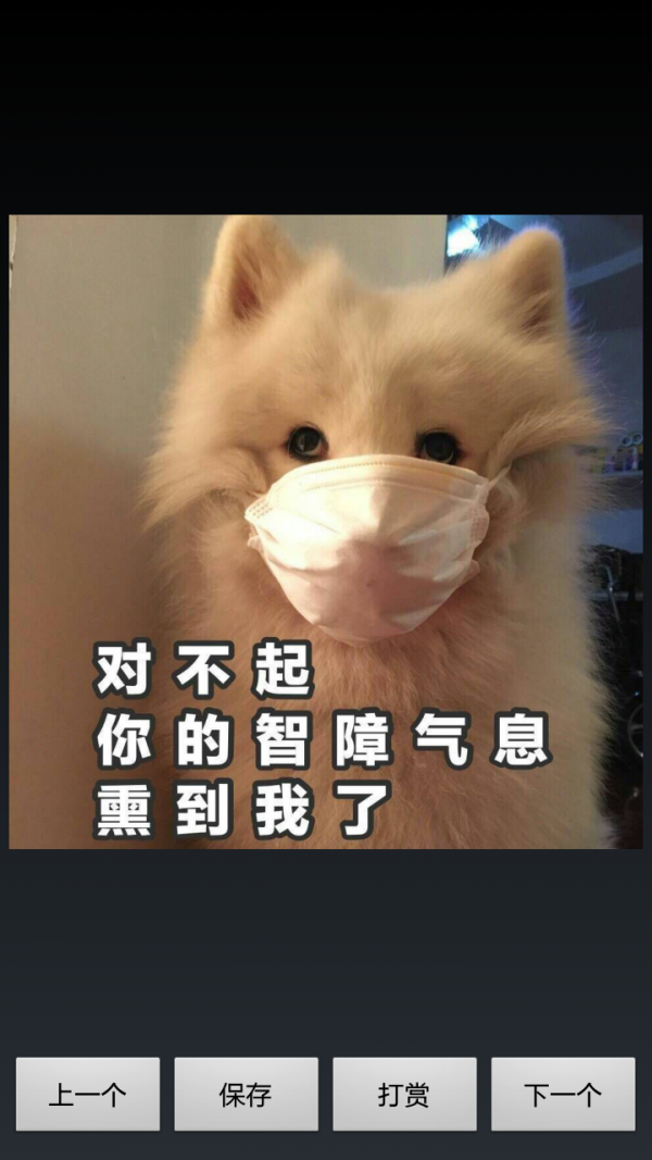 ЦͼƬȫͼ3