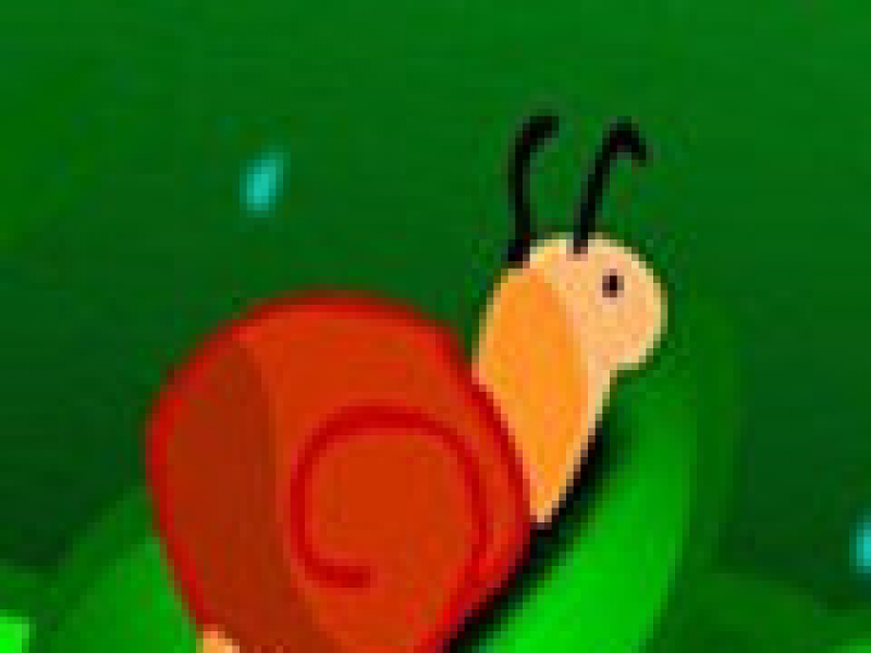 ţ Ӣİ