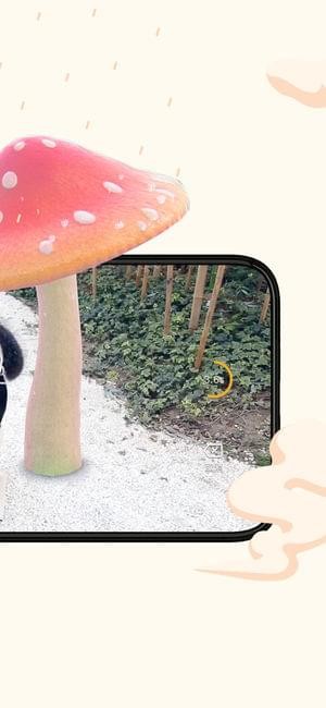 ϷƵ