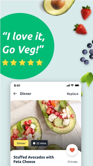 Vegetarian Meal Plans