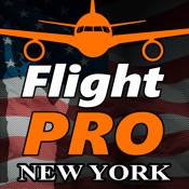Pro Flight Simulator New YorkiP