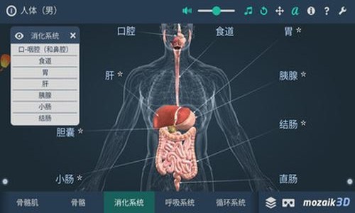 立體全身解剖模擬https://www.duote.com/android/358650.