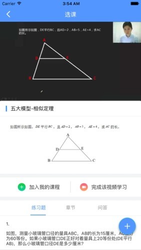 ţ޿