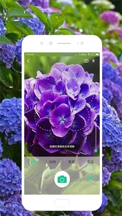 专题:在线拍图翻译识图查物软件app万能识图app植物拍照识别app