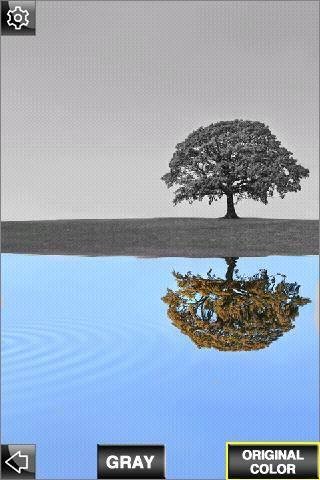 ɫ
