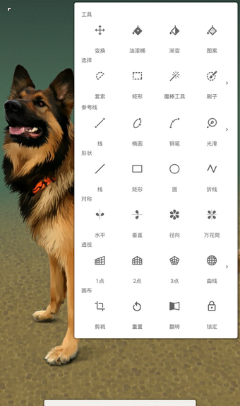 ޻滭