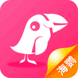 海鹦浏览器（Puffin Cloud Browser）