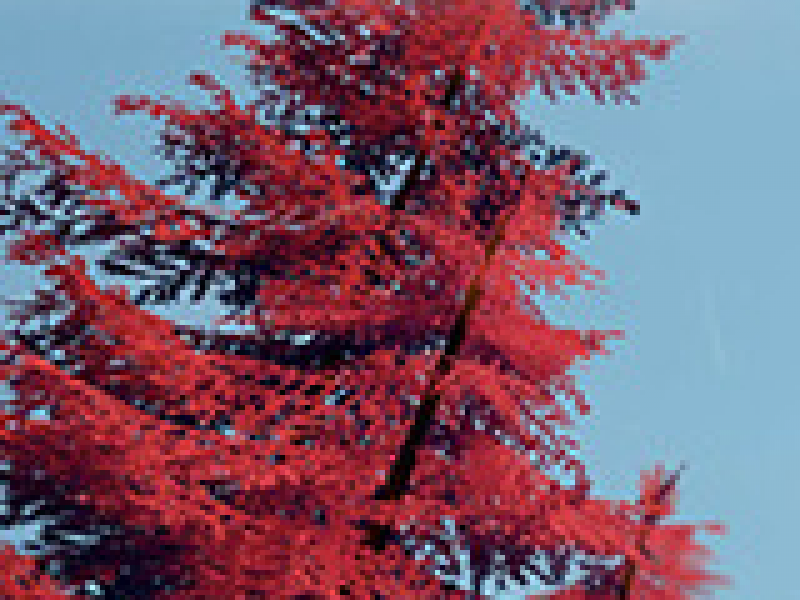 λ İ