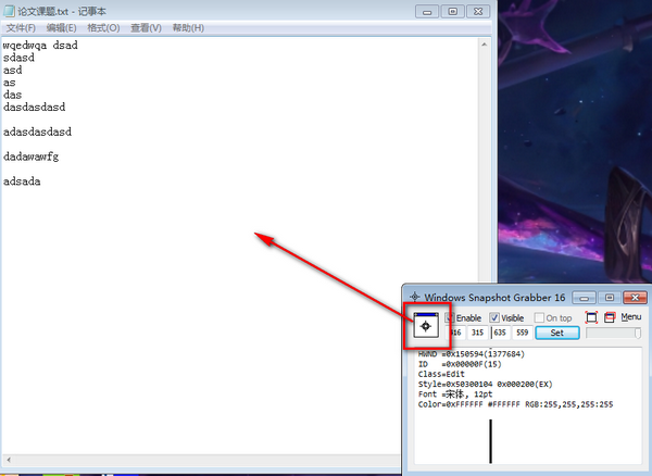 Windows Snapshot Grabber(Ļͼ)