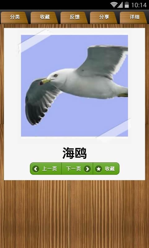 ͯѧϰͼ3