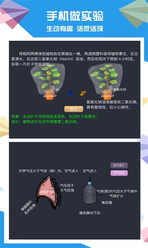 ͼ1