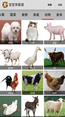 ɱѧӢͼ1