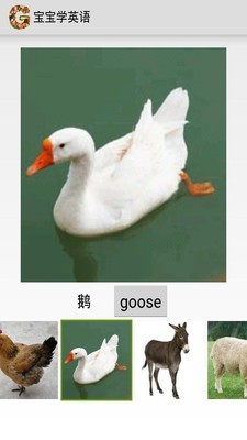 ѧӢ
