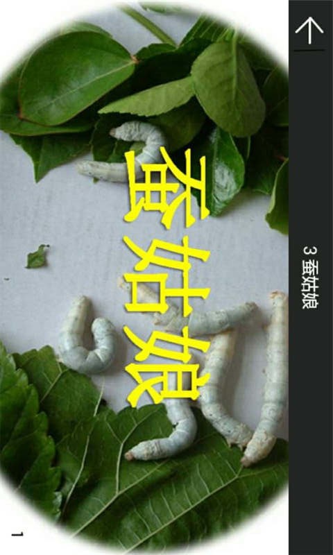 꼶²Ŀ