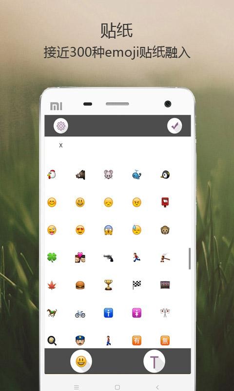 ƴ