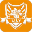 Lily߿