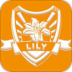 Lily߿