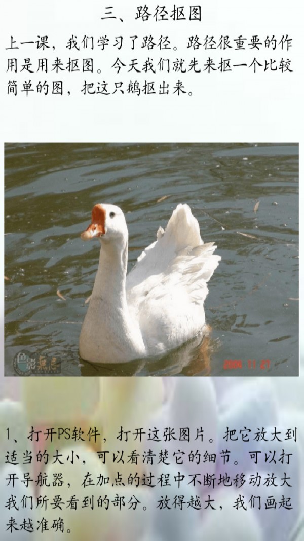 Psʵ̳