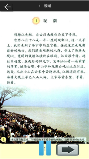 꼶ϲ