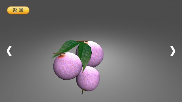 ͼ1