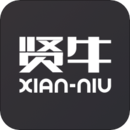 ţ