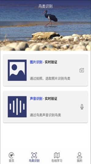 識鳥app哪個好_那種認鳥app好_懂鳥app-多特圖文教程