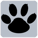 ¼