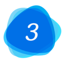 С3
