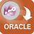 AccessToOracle(Accessתoracle)