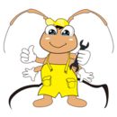 ǿ