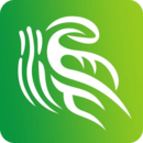 ½